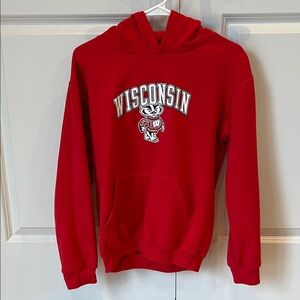 Wisconsin Champion Kids Hoodie, Size Youth  XL (14-16)